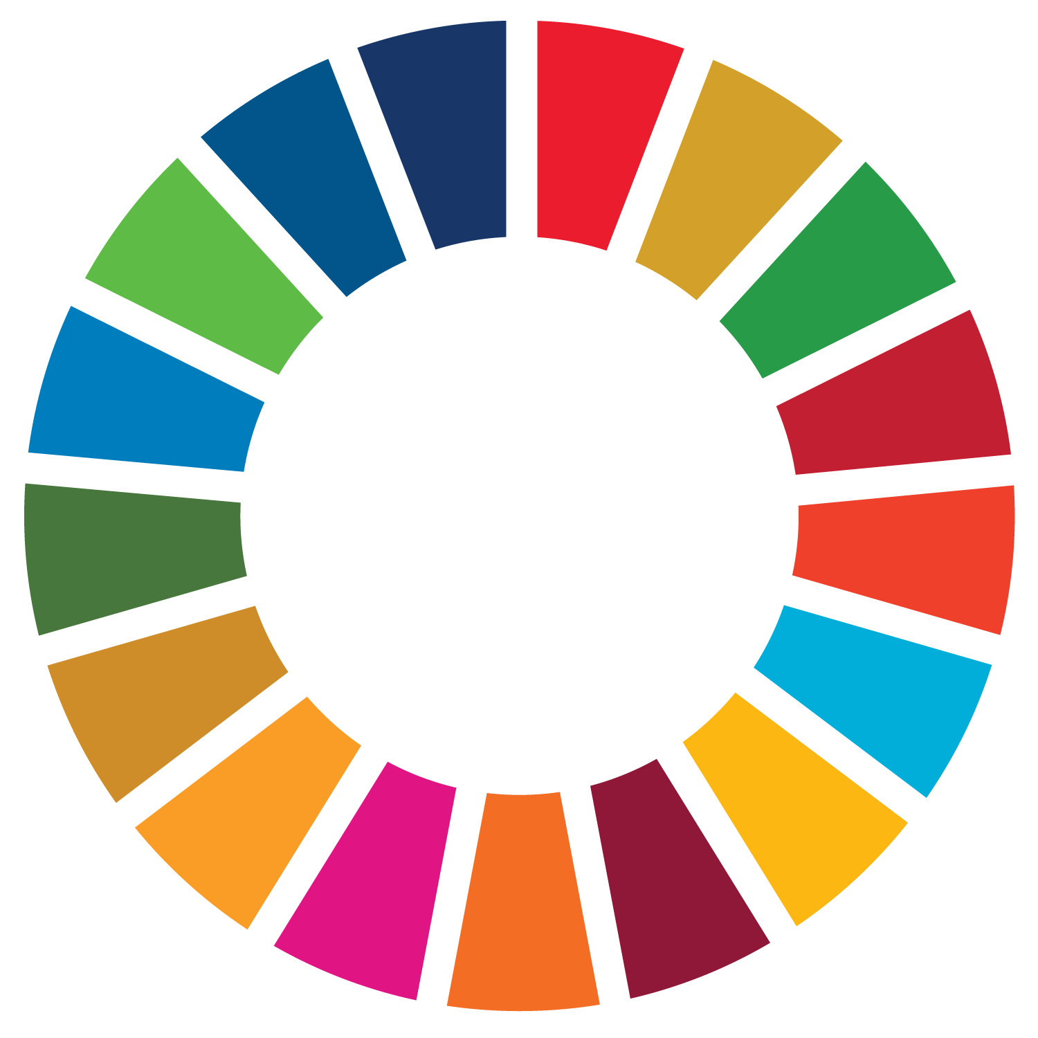The Sustainable Development Goals colour wheel